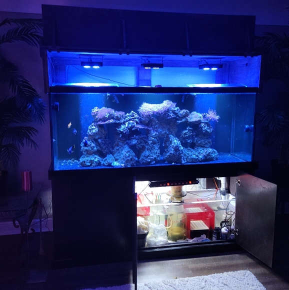 Meet your Posher, Dria - Picture 12 of 17